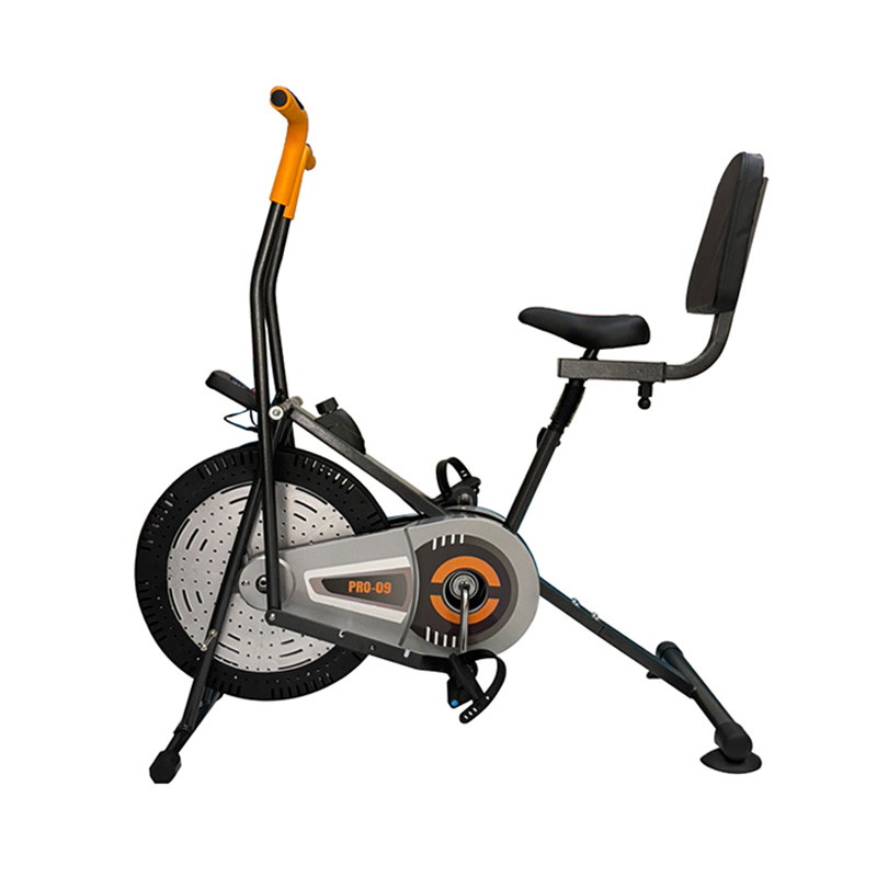 Xe đạp tập thể dục PRO-09 liên hoàn tại nhà có tựa lưng, giá rẻ