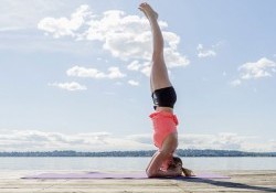 10+ Tác dụng của việc trồng cây chuối & Cách trồng chuối Yoga