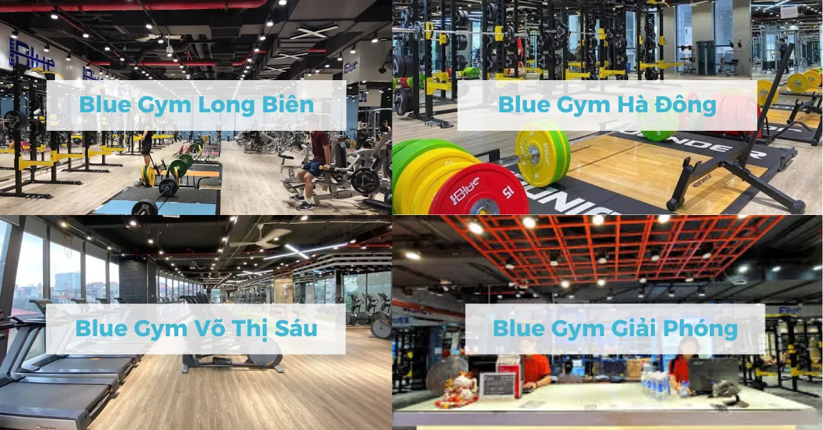 Blue Gym có 4 chi nhánh được đầu tư đồng bộ