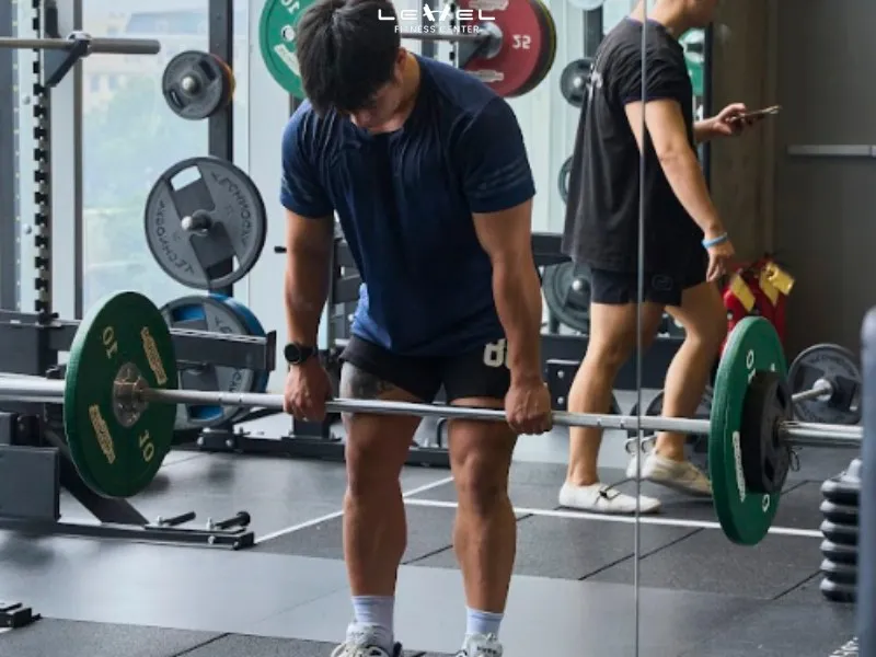 Deadlifts giúp tác động toàn diện cơ lưng và mông