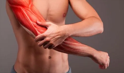 Để giảm đau cơ khi tập gym, bạn nên bổ sung nước đầy đủ, khởi động trước khi tập và có chế độ dinh dưỡng hợp lý.