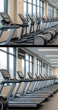 Không gian tập luyện hiện đại tại phòng tập The New Gym