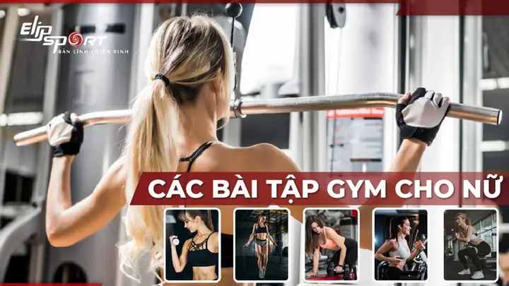 Các Bài Gym Cho Nữ Các Bài Gym Cho Nữ