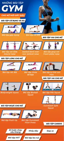 Các Bài Tập Cho Nữ Mới Tập Gym Các Bài Tập Cho Nữ Mới Tập Gym