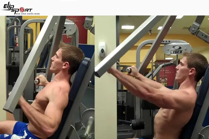 Các Bài Tập Cơ Ngực Tại Phòng Gym Các Bài Tập Cơ Ngực Tại Phòng Gym