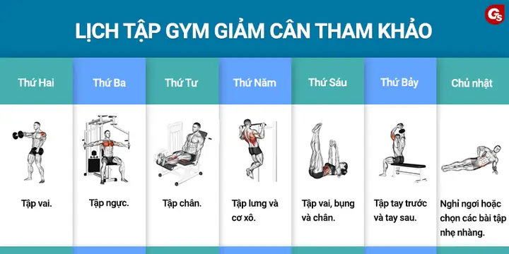 Các Bài Tập Gym Cho Nữ Tại Nhà