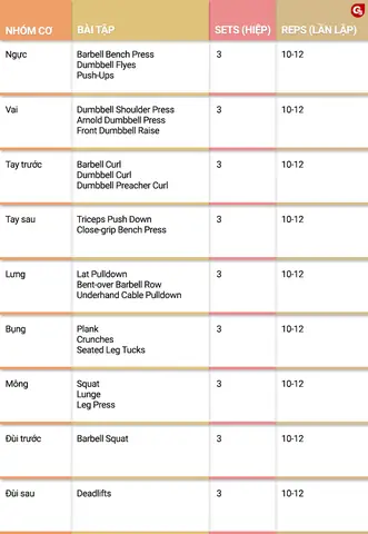 Các Bài Tập Gym Để Tăng Cân Các Bài Tập Gym Để Tăng Cân