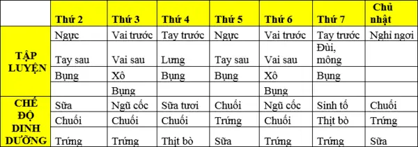 Các Bài Tập Gym Giảm Cân Cho Nam Các Bài Tập Gym Giảm Cân Cho Nam