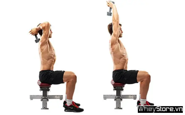 Các Bài Tập Gym Tay