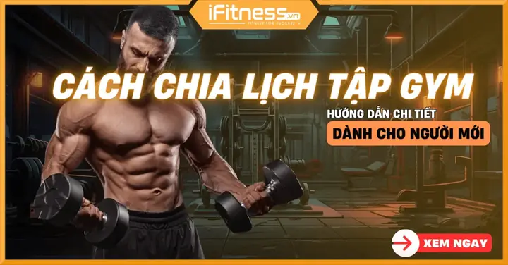 Các Bài Tập Gym Theo Ngày