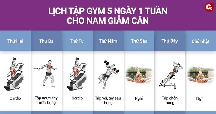 Các Bài Tập Gym Trong 1 Tuần