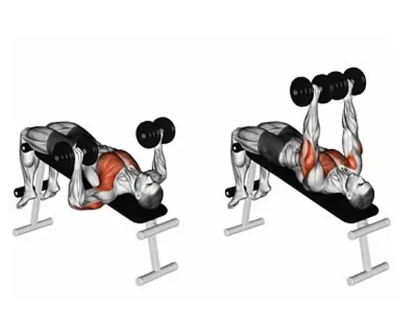 Các Bài Tập Ngực Cho Nam Gym