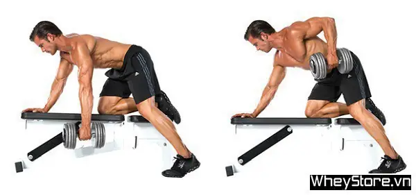 Các Bài Tập Tay Trong Phòng Gym