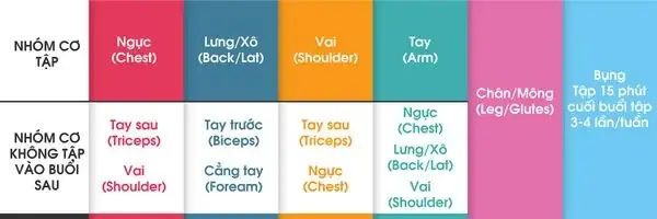 Cách Chia Lịch Tập Gym Cho Nữ