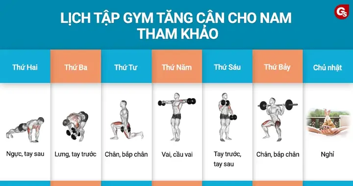 Cách Tập Gym Để Tăng Cân