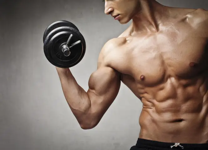 Cách Tập Gym Lên Cơ Nhanh Cách Tập Gym Lên Cơ Nhanh