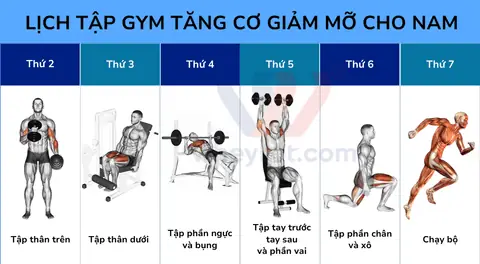 Cách Tập Gym Tăng Cơ Giảm Mỡ Cách Tập Gym Tăng Cơ Giảm Mỡ