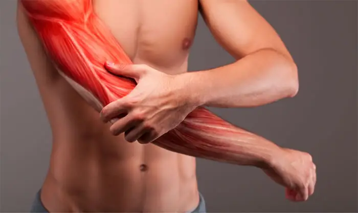 Căng Cơ Khi Tập Gym Căng Cơ Khi Tập Gym