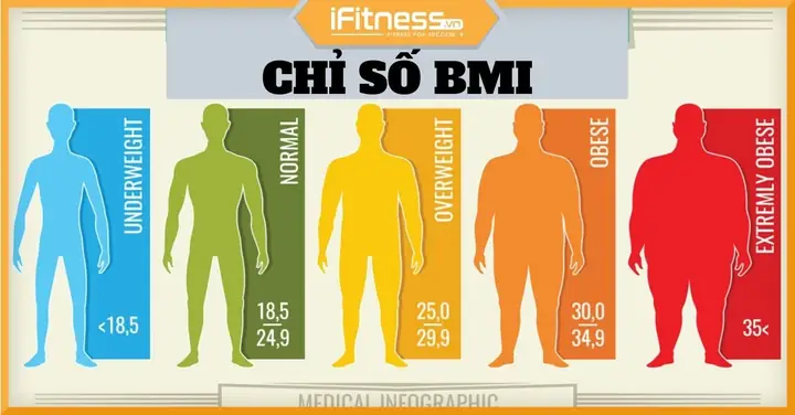 Chỉ Số Bmi Cho Người Tập Gym Chỉ Số Bmi Cho Người Tập Gym