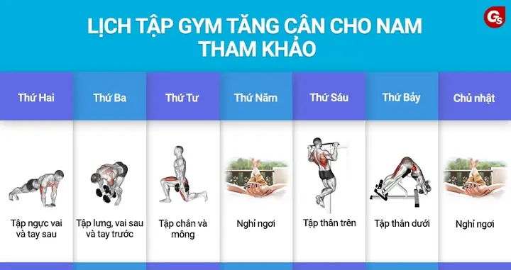 Chia Lịch Tập Gym 5 Ngày 1 Tuần Chia Lịch Tập Gym 5 Ngày 1 Tuần