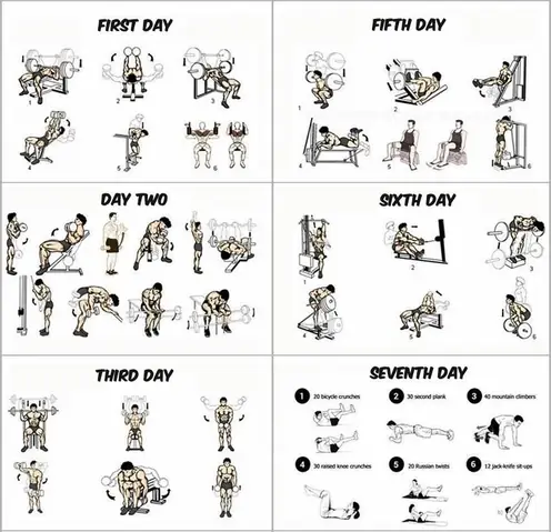 Exercises For First Day At Gym