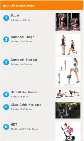Giáo Án Gym Cho Người Mới Giáo Án Gym Cho Người Mới