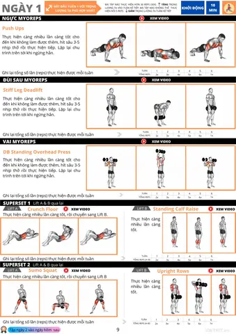 Giáo Án Gym Nam Giáo Án Gym Nam