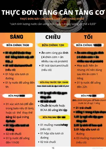 Giáo Án Tập Gym Nam