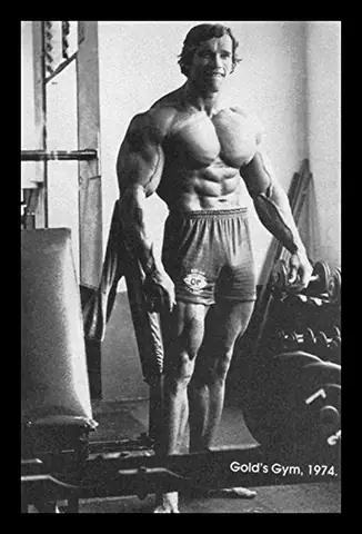 Gym Arnold Schwarzenegger Gym Arnold Schwarzenegger