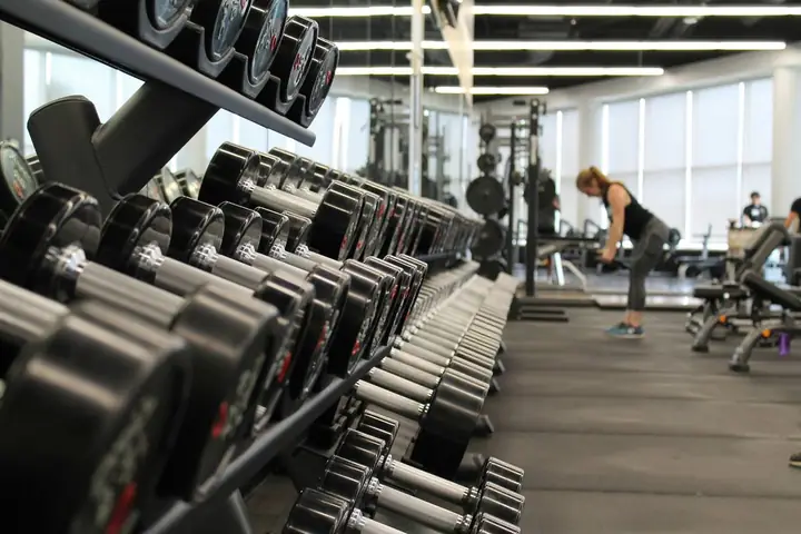 Gym Business Gym Business