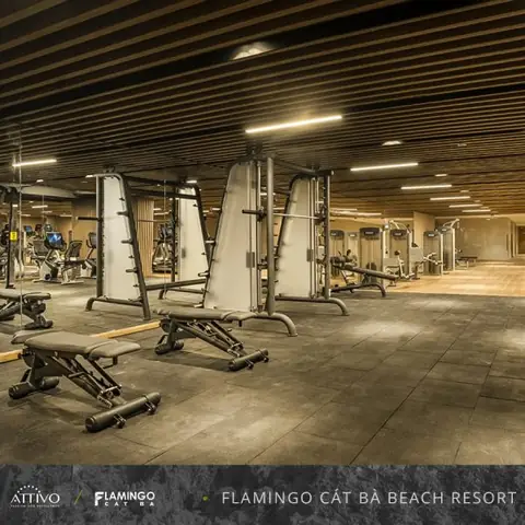 Gym Cat Ba Gym Cat Ba