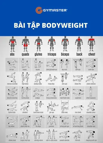 Gym Cho Người Mới Gym Cho Người Mới