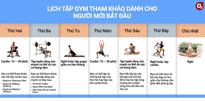 Gym Cho Người Mới Tập Gym Cho Người Mới Tập