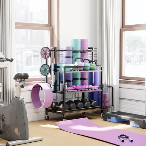 Gym Equipment Storage