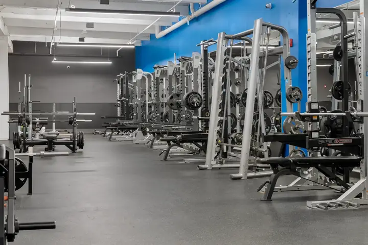 Gym It