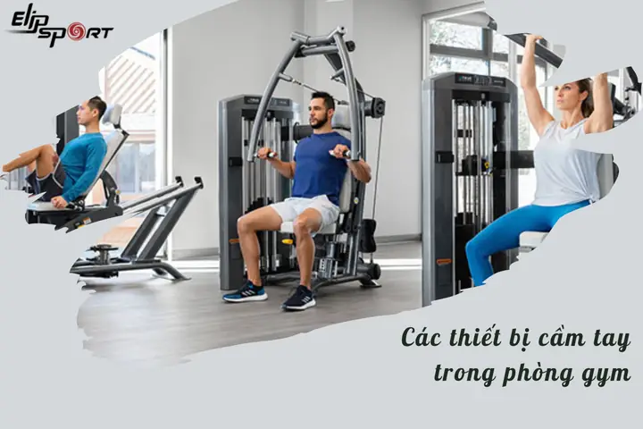 Gym Là Gì Trong Tiếng Anh