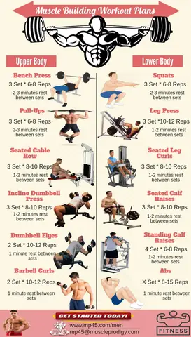 Gym Program For Building Muscle